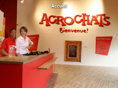 Accueil Acrochats
