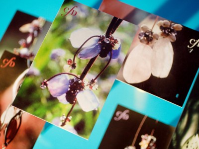 Identité visuelle Claire de Divone