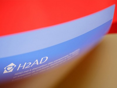 Identité de marque H2AD